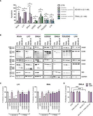 Activity and rational combinations of a novel, engineered chimeric, TRAIL-based ligand in diffuse large B-cell lymphoma